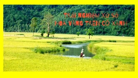 Cách Khởi Nghiệp Kiếm Tiền Bán Thời Gian Dành Cho Người Mới_Quỹ đầu tư khởi nghiệp