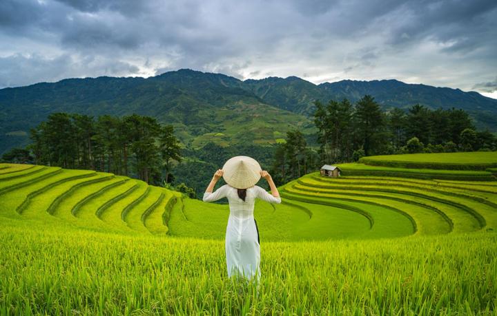 Sự Bùng Nổ Của Video Ngắn và Trí Tuệ Nhân Tạo: Vai Trò Thiết Yếu Của Đào Tạo Kỹ Năng Sáng Tạo Nội Dung_video ngắn trên TikTok