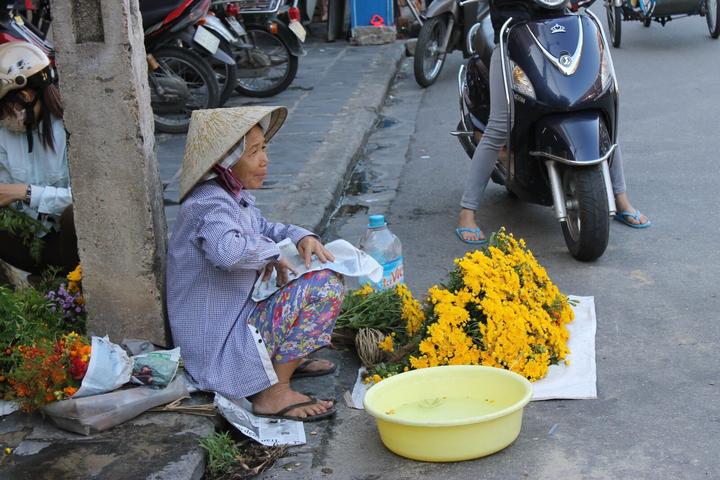 Hotspot Matrix: Biến Loài cá kỳ lạ nhất châu Phi: thành cơ hội marketing đột phá_Tạo video ngắn với phần mềm Clip