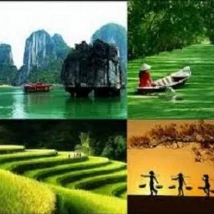 Làm Video Ngắn – Vừa Sáng Tạo, Vừa Kiếm Tiền Với Công Cụ Hữu Ích_Văn nghệ