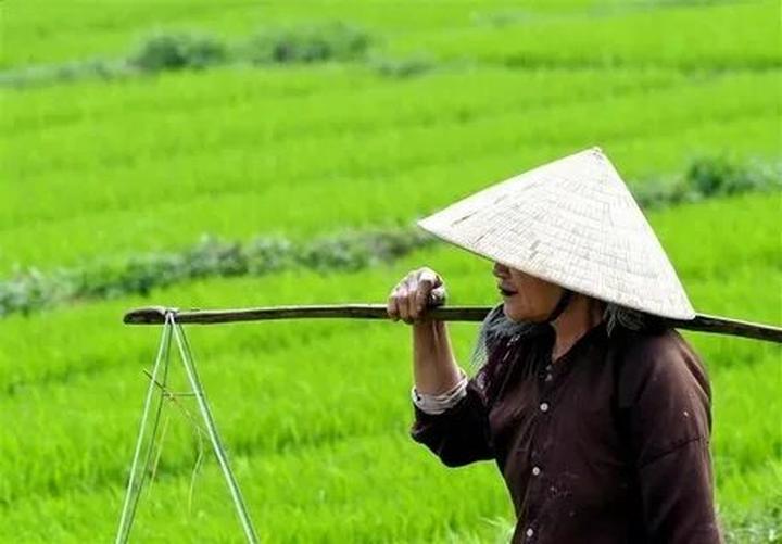 Chính sách đại lý của Hotspot Matrix: Cơ hội hợp tác bền vững trong ngành video ngắn_Tiếp thị nội dung là gì